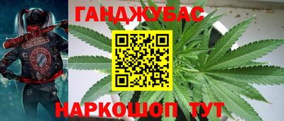 гидропоника Бугуруслан