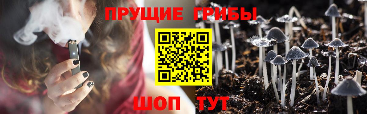 Кропоткин  Галлюциногенные грибы GOLDEN TEACHER  Вход с VPN 